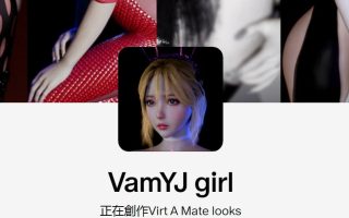 VamYJ作者服装合集23g