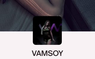 VAMSOY.Behind_the_curtain.2.var