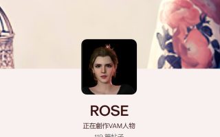 rose作者服装合集14g