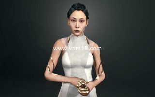 Skynet.Hanako_Arasaka.1.var