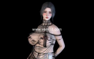 lby.美珍（双预设）.1.var