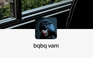 bqbq.lady_boss_(paid)_fix.1.var