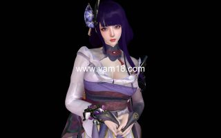 Dnaddr.Lei__RaidenShogun_v2_P_25_3_14.1.var