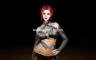 Archer.YAFEI-8-7.1.var