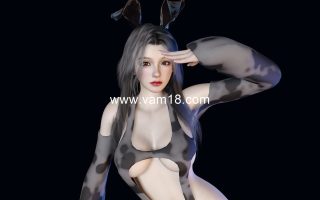 bookbook.quinn.1.var