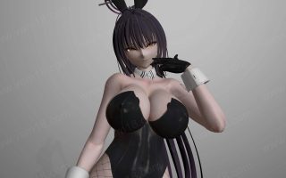 Ashu.BA_Karin.1.var